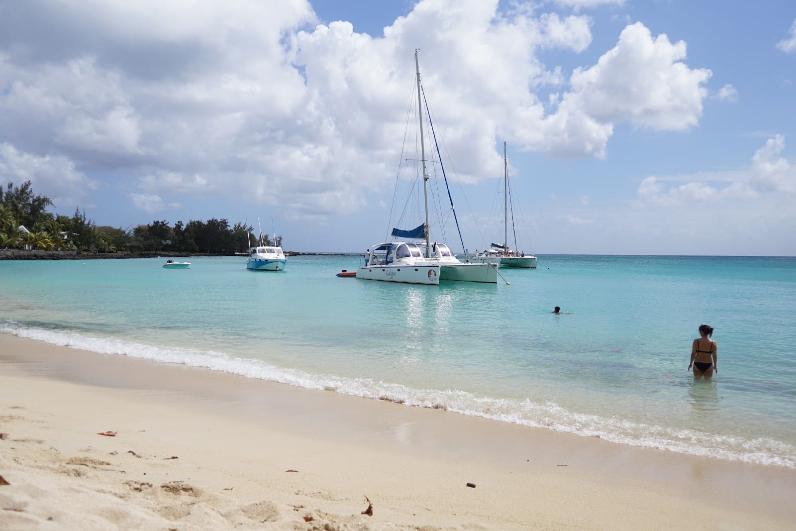 Hibiscus beach