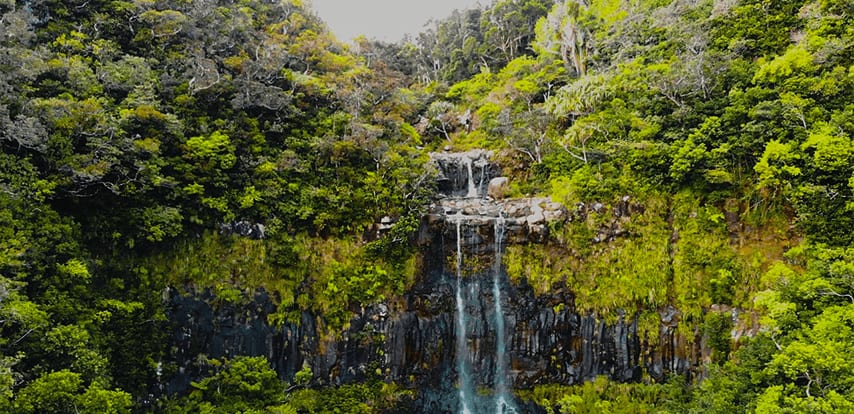 Alexandra Falls