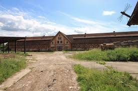 Конезавод при замке Георгенбург