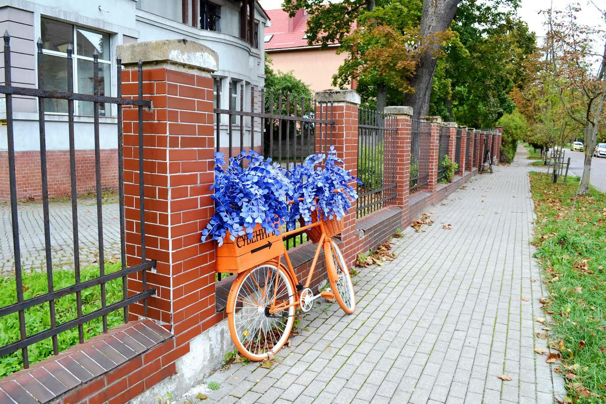 Район Амалиенау
