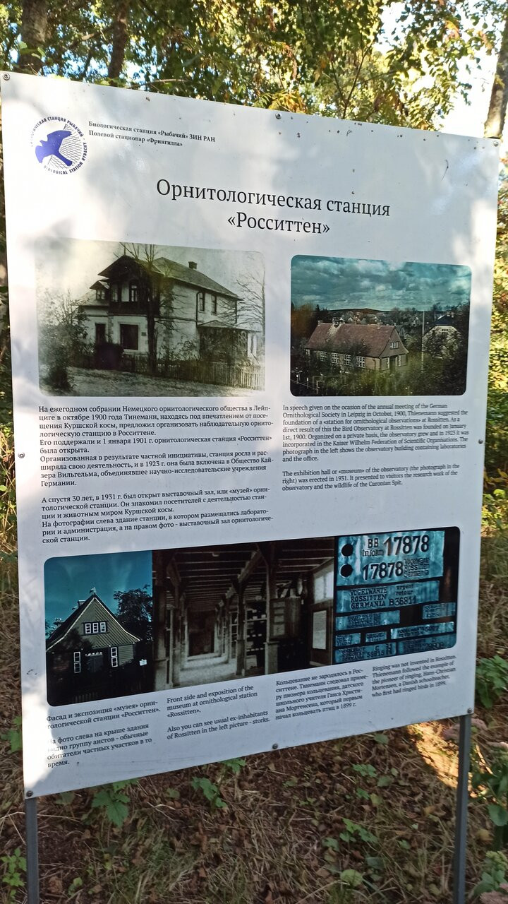 Орнитологическая станция «Фрингилла»