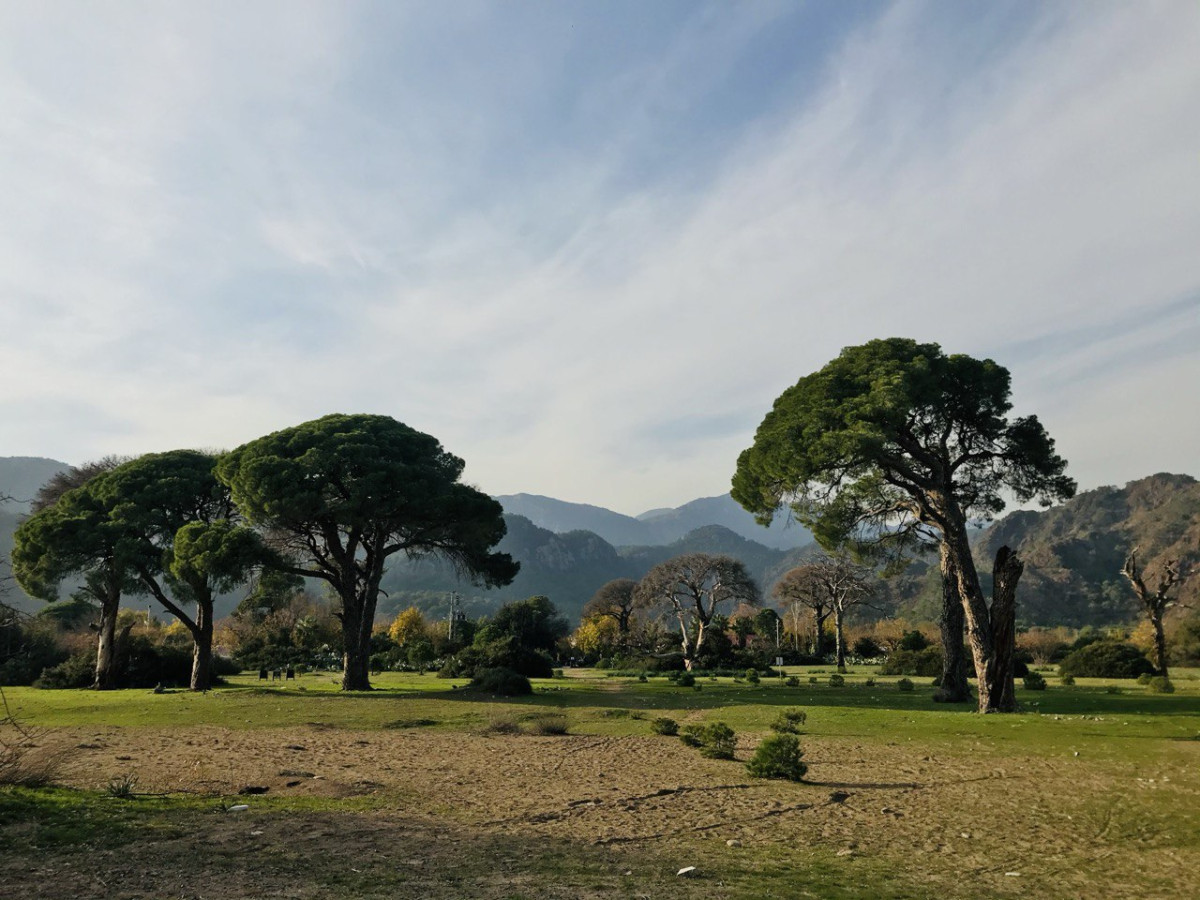 Погода в Каше