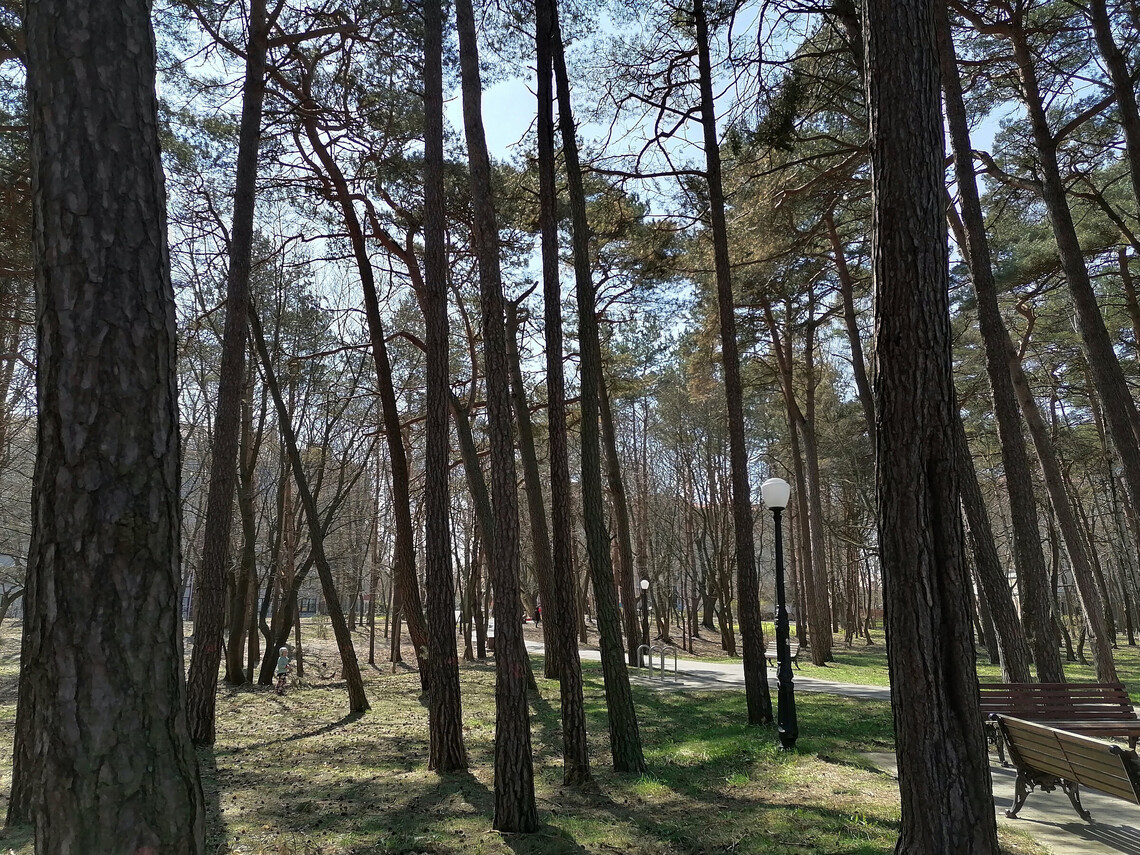 Пионерский
