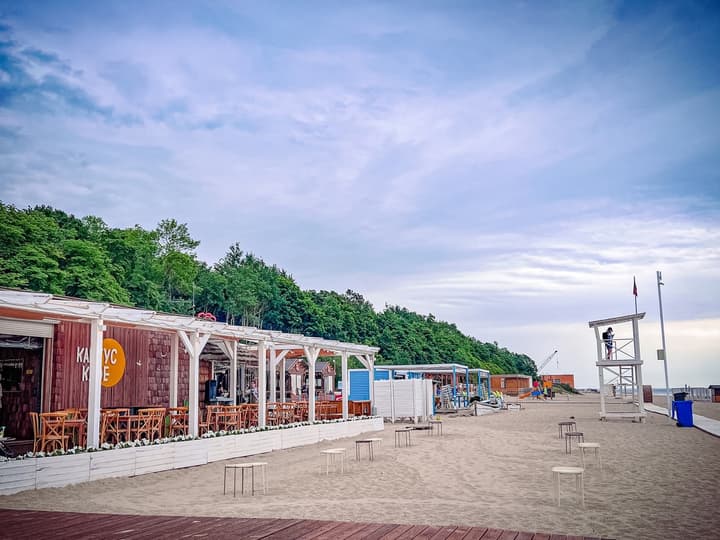 Кафе Кактус