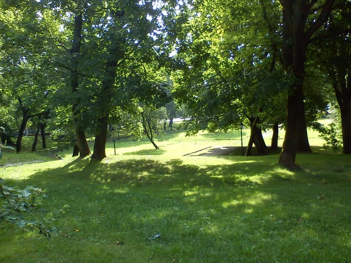 Парк Ашманна