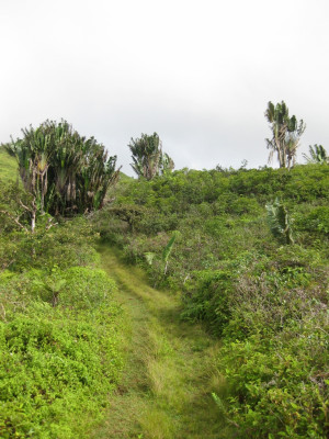 Mauritius