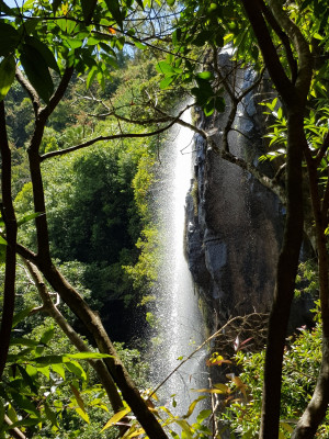 Mauritius