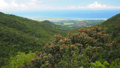 Mauritius