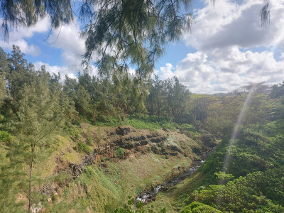 Mauritius