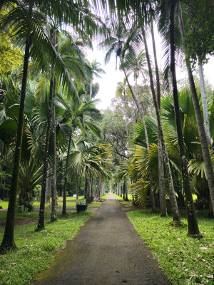 Mauritius