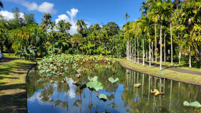 Mauritius