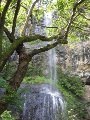 Mauritius