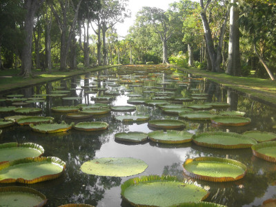 Mauritius