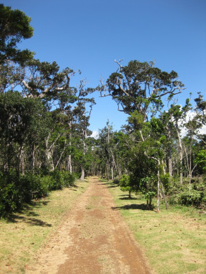 Mauritius