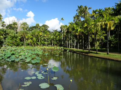 Mauritius